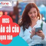 Đầu số 0935 là mạng gì? Những thông tin ý nghĩa bạn nên biết
