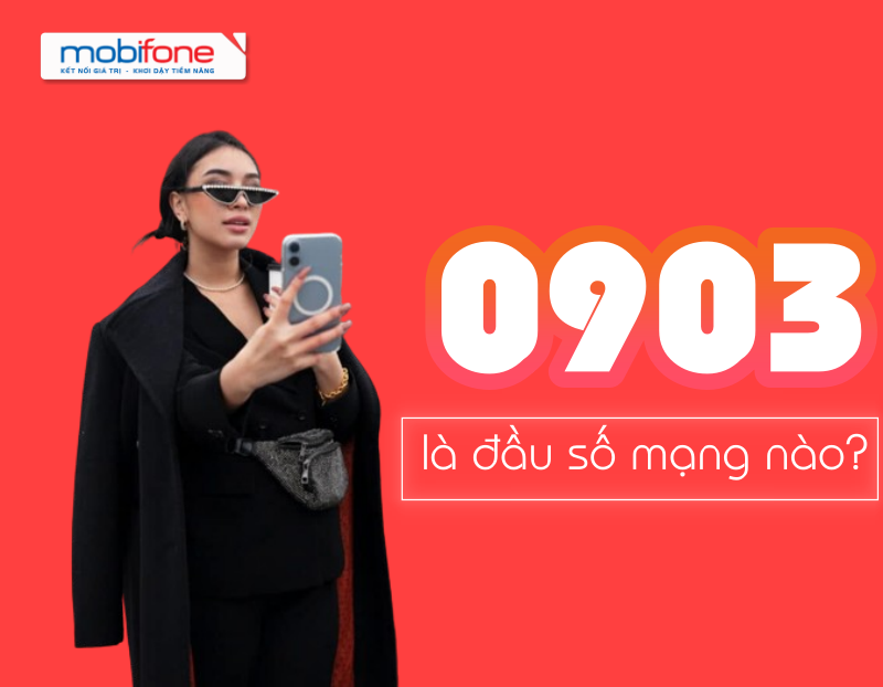 Đầu số 0903 là mạng gì? Bí quyết mua sim đầu số 0903 phù hợp